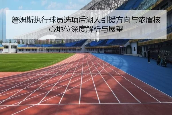 詹姆斯执行球员选项后湖人引援方向与浓眉核心地位深度解析与展望