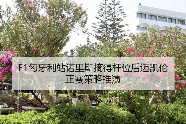 F1匈牙利站诺里斯摘得杆位后迈凯伦正赛策略推演